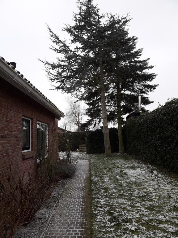 Zomerhuis De Zeedistel Egmond aan den Hoef Kültér fotó